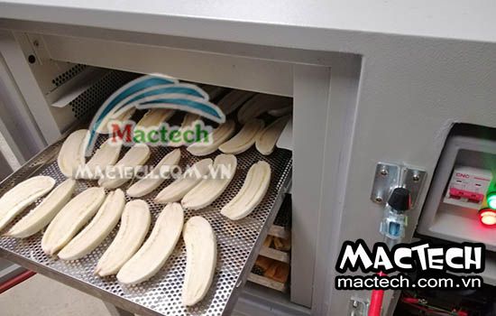 Có nên sấy chuối bằng máy sấy lạnh không
