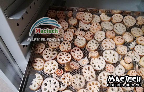 Cách sấy củ sen bằng máy sấy nhiệt, máy sấy lạnh của Mactech