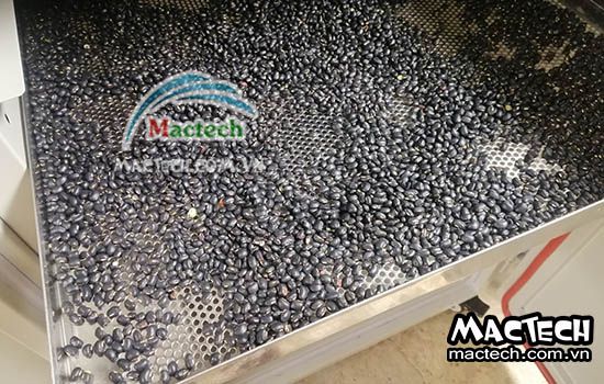 Nhiệt độ sấy khô sấy chín hạt đậu đen