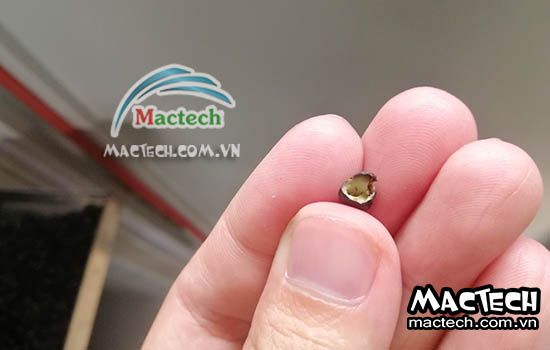 Cách làm đậu đen rang bằng máy sấy nhiệt độ cao Mactech