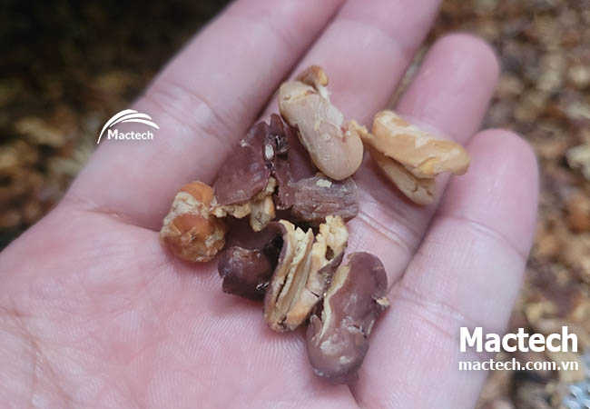 Đậu mix sấy giòn – Xu hướng snack heathy đang bùng nổ trên thị trường