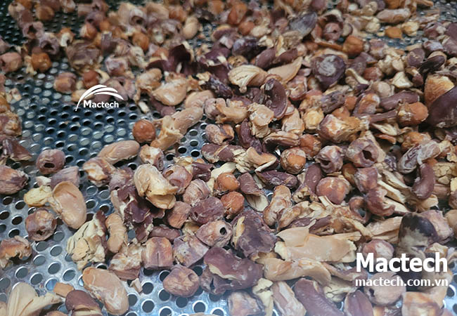 hạt mix sấy giòn