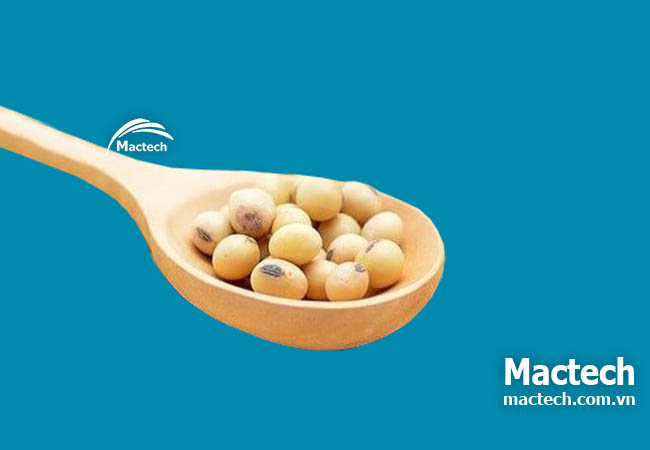 Đậu tương sấy thăng hoa ăn liền