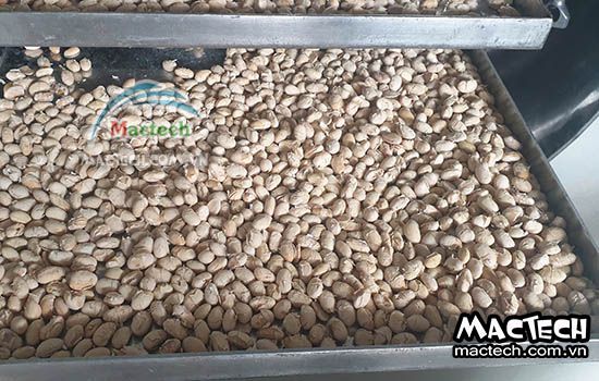 Máy sấy thăng hoa đậu tương Mactech