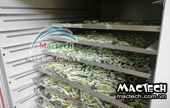 Máy sấy lạnh dọc mùng Mactech, sấy giữ màu đẹp, giữ mùi vị của rau