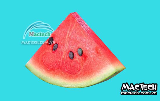 Máy sấy thăng hoa dưa hấu Mactech, sấy khô ăn liền cao cấp