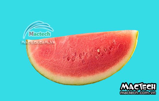 Máy sấy thăng hoa dưa hấu Mactech, sấy khô ăn liền cao cấp