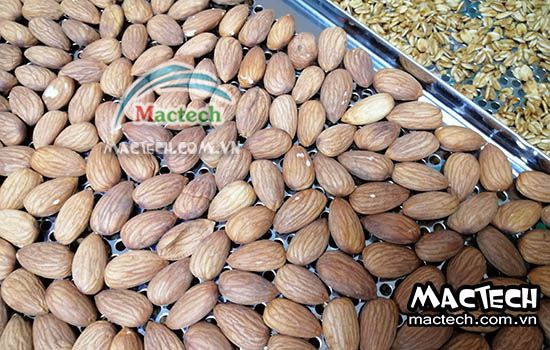 Cách rang chín hạt hạnh nhân bằng máy sấy nhiệt độ cao Mactech