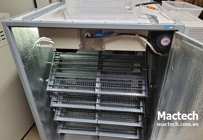 Tại sao máy ấp trứng Mactech giá cao hơn nhiều hãng khác