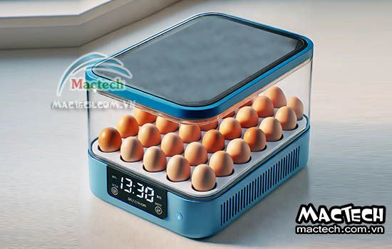 So sánh máy ấp trứng vỏ nhựa và máy ấp trứng thùng xốp