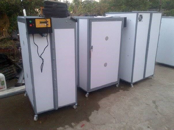 Máy ấp trứng 600, 1000 trứng