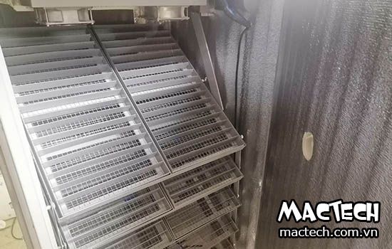 Máy ấp trứng ra đời năm nào? Câu hỏi không nhiều người biết