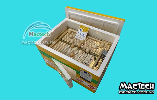 So sánh máy ấp trứng vỏ nhựa và máy ấp trứng thùng xốp