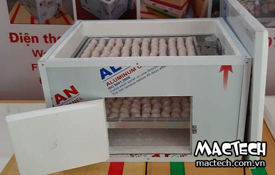 So sánh máy ấp trứng vỏ gỗ và máy ấp trứng vỏ nhôm