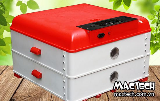 So sánh máy ấp trứng vỏ gỗ và máy ấp trứng vỏ nhựa