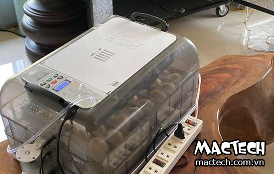 So sánh máy ấp trứng vỏ gỗ và máy ấp trứng vỏ nhựa