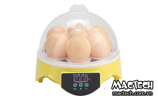 Ưu nhược điểm của máy ấp trứng vỏ nhựa