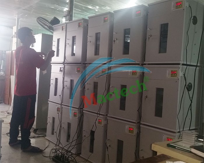 máy ấp trứng 100 trứng