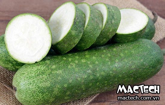 máy sấy bí xanh