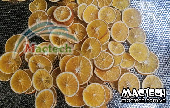 Sấy cam bằng máy sấy thăng hoa, sấy khô để nghiền bột