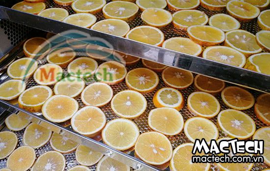 Sấy cam bằng máy sấy lạnh, nên hay không nên