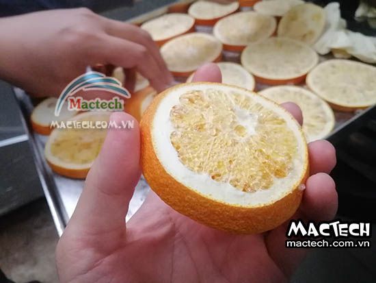 Máy sấy thăng hoa cam Mactech, sấy khô ăn liền cao cấp