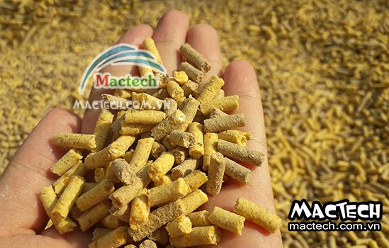Thời gian sấy cám viên bao lâu thì khô, 3 hay 5 tiếng
