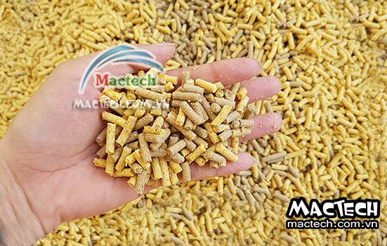 Thời gian sấy cám viên bao lâu thì khô, 3 hay 5 tiếng
