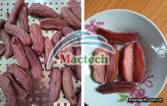 Ưu điểm của máy sấy dẻo hoa quả Mactech