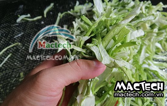 Máy sấy dọc mùng
