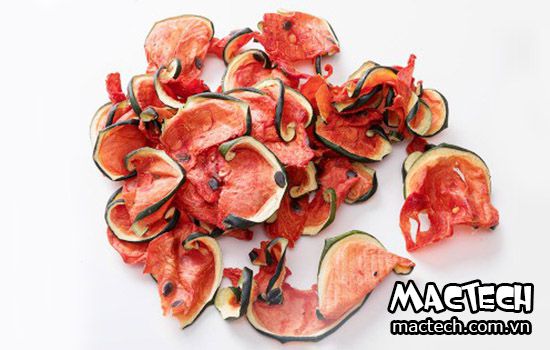 máy sấy dưa hấu