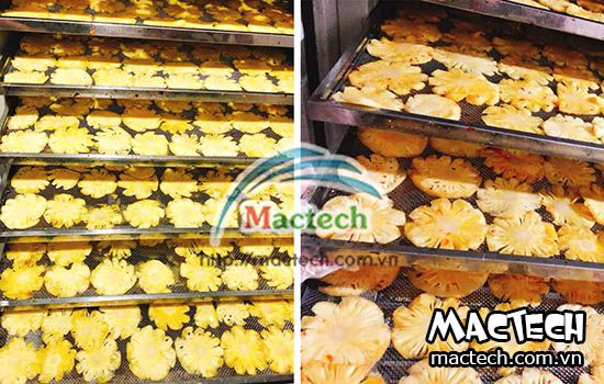 Máy sấy dứa Mactech, sấy dẻo bằng công nghệ sấy lạnh