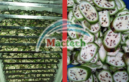 Máy sấy thuốc nam Mactech