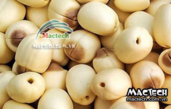 Hạt sen sấy bị mất màu do đâu, tìm hiểu lý do và hướng xử lý