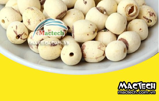 Hạt sen sấy bị đen, nguyên nhân tại sao và hướng xử lý thế nào