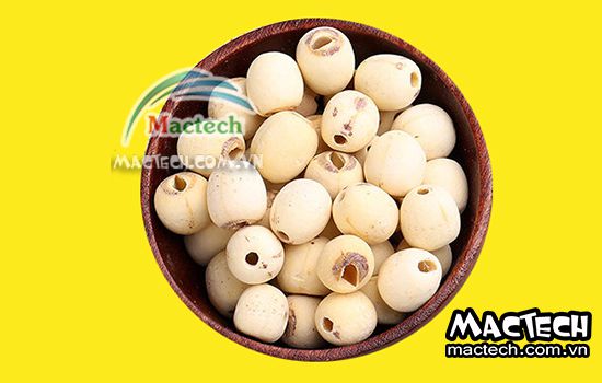 Hạt sen sấy bị đen, nguyên nhân tại sao và hướng xử lý thế nào