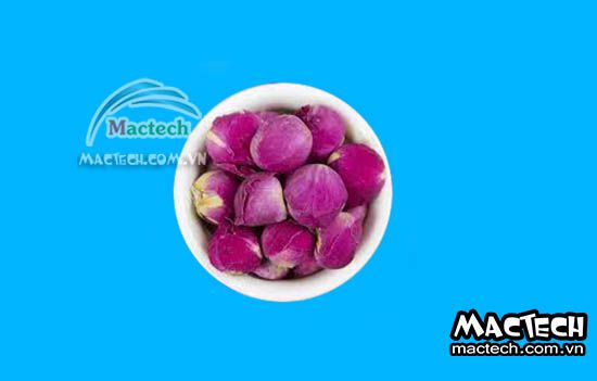 Máy sấy hoa mẫu đơn Mactech, sấy khô nụ hoa mẫu đơn làm trà