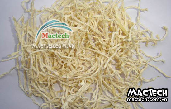 Máy sấy lạnh củ cải Mactech, sấy khô chất lượng cao ở nhiệt độ thấp