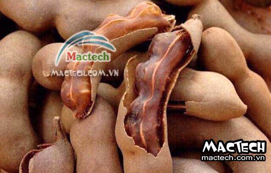 Máy sấy me khô Mactech, sấy khô nhanh, khô đẹp, chất lượng cao