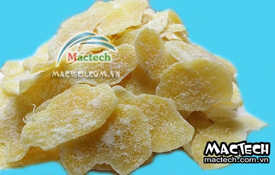 Máy sấy mứt gừng Mactech, sấy khô nhanh tiết kiệm điện năng