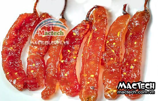 Máy sấy mứt me Mactech, sấy khô nhanh, bảo quản được lâu