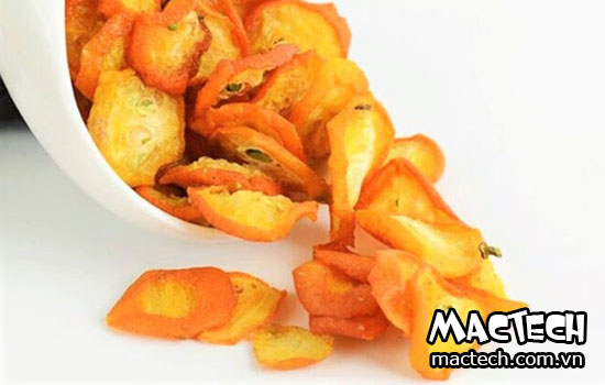 máy sấy quả quất