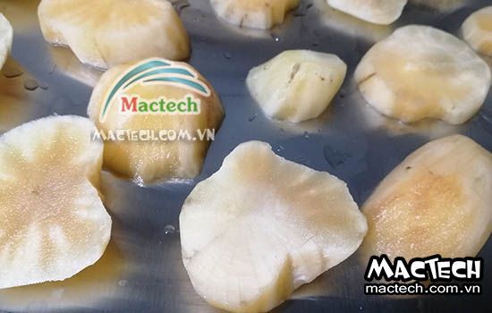 Máy sấy sâm khoai Mactech, sấy nhanh, màu đẹp, tiết kiệm điện