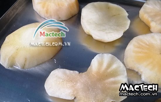 Thời gian sấy sâm khoai bao lâu thì khô hẳn, giải đáp từ Mactech