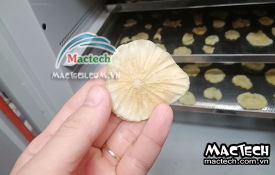 Cách sấy sâm khoai sử dụng máy sấy cho hiệu quả sấy cao