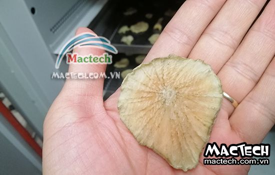 Cách sấy sâm khoai sử dụng máy sấy cho hiệu quả sấy cao