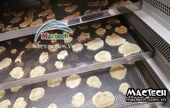 Cách sấy sâm khoai sử dụng máy sấy cho hiệu quả sấy cao