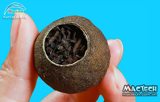 Máy sấy trà phổ nhĩ quýt Mactech
