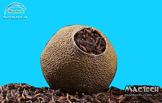 Máy sấy trà phổ nhĩ quýt Mactech