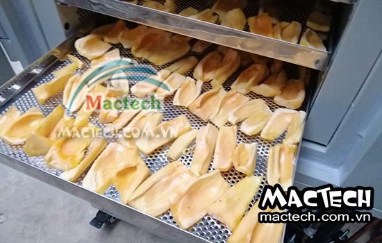 Máy sấy mít Mactech